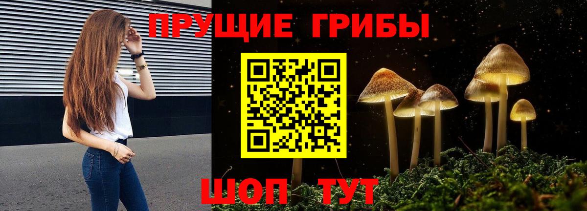 Псилоцибиновые грибы MAGIC MUSHROOMS  где продают наркотики  Пятигорск  Вход с VPN 